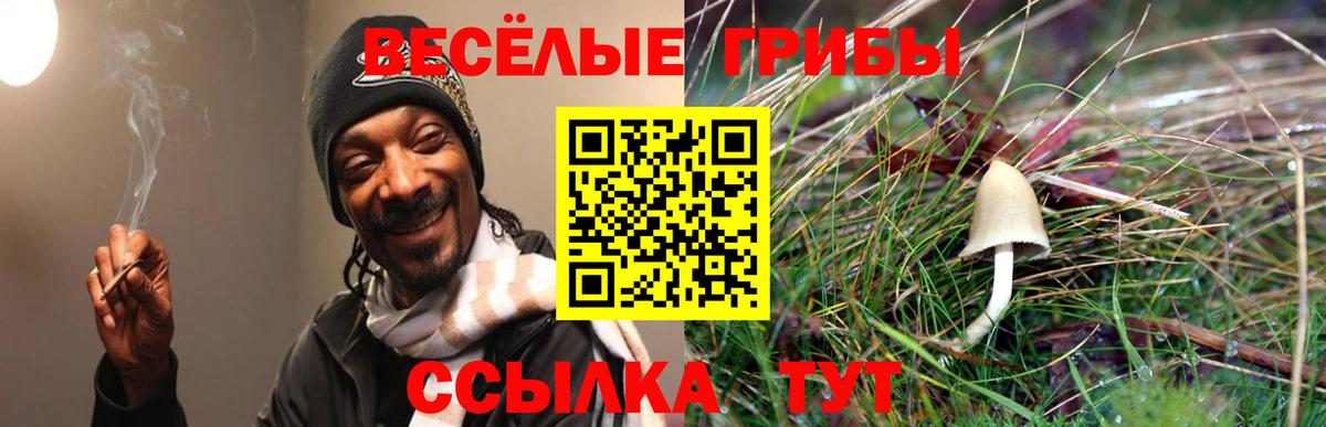 Галлюциногенные грибы ЛСД  Вход с VPN  Луховицы 